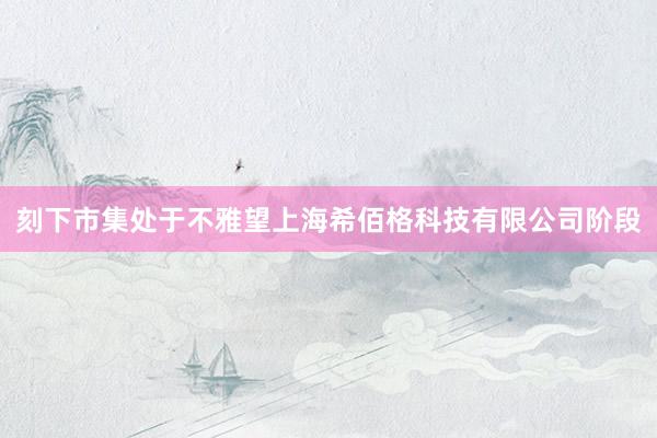 刻下市集处于不雅望上海希佰格科技有限公司阶段