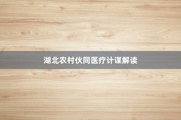 湖北农村伙同医疗计谋解读