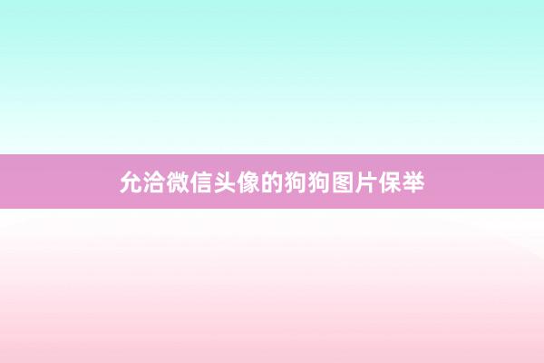 允洽微信头像的狗狗图片保举
